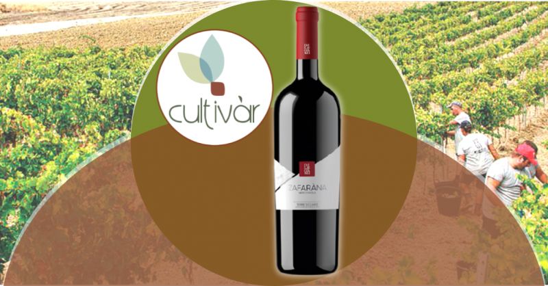 ENOTECA CULTIVAR - Offerta vino biologico nero d Avola terre siciliane